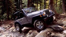 Jeep Wrangler - widok z przodu