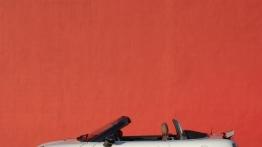 Mini Roadster - lewy bok