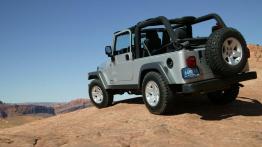 Jeep Wrangler - widok z tyłu