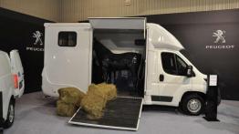 Targi Fleet Market 2016 – 18 premier