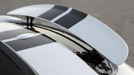 Mini Roadster - spoiler