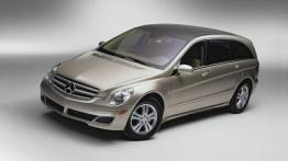 Mercedes Klasa R - widok z przodu