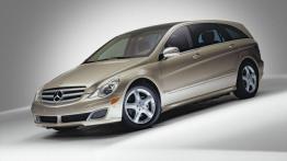 Mercedes Klasa R - widok z przodu