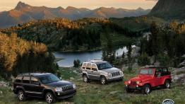 Jeep Wrangler - widok z przodu