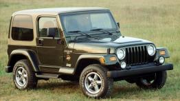 Jeep Wrangler - widok z przodu