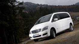Dostawcze Mercedesy 4Matic w Krynicy-Zdroju