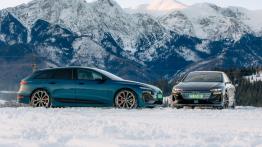 Elektromobilność w Polsce? Dopiero po 2030 roku