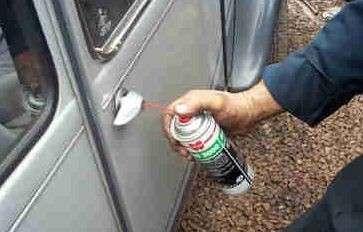 Zamki specjalnej troski