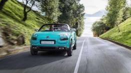 Citroen Cactus M - (Nie tylko) dla surfera