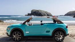 Citroen Cactus M - (Nie tylko) dla surfera