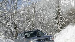 Nissan Pickup Navara - widok z przodu