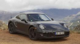 Porsche 911 (991) Carrera - testowanie auta