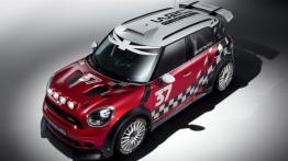 Mini WRC - widok z góry