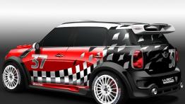 Mini WRC - widok z tyłu