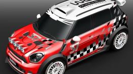 Mini WRC - widok z góry