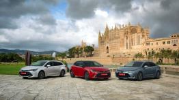 Sprzedaż hybryd Toyoty notuje w Polsce kolejny rekord