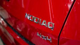 Sześć kół, trzy kraje, 4000 kilometrów – wyprawa Skoda Cycling Adventure