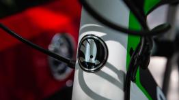 Sześć kół, trzy kraje, 4000 kilometrów – wyprawa Skoda Cycling Adventure