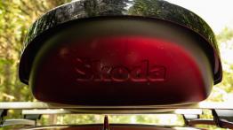 Sześć kół, trzy kraje, 4000 kilometrów – wyprawa Skoda Cycling Adventure