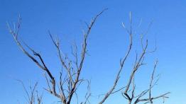 Skoda Yeti w Namibii - dzień 4 - od księżycowego krajobrazu po safari