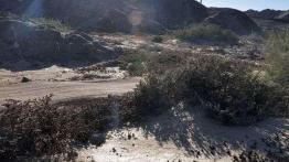 Skoda Yeti w Namibii - dzień 4 - od księżycowego krajobrazu po safari