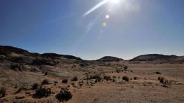 Skoda Yeti w Namibii - dzień 4 - od księżycowego krajobrazu po safari