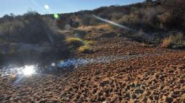 Skoda Yeti w Namibii - dzień 4 - od księżycowego krajobrazu po safari