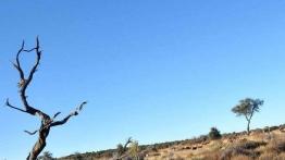 Skoda Yeti w Namibii - dzień 4 - od księżycowego krajobrazu po safari