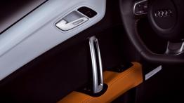 Audi TT Clubsport - drzwi kierowcy od wewnątrz