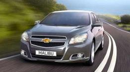 Wyprzedaż rocznika 2013 - przegląd ofert