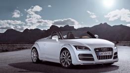 Audi TT Clubsport - widok z przodu