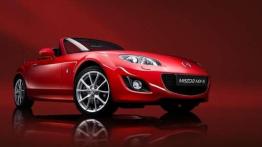 Wyprzedaż rocznika 2013 - przegląd ofert