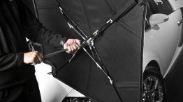 Bugatti Veyron Grand Sport - dach