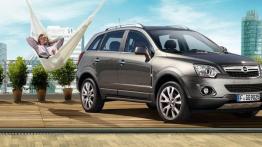 Wyprzedaż rocznika 2013 - przegląd ofert