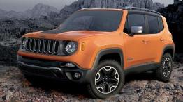 Wyprzedaż rocznika 2014 - przegląd ofert