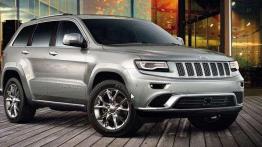 Wyprzedaż rocznika 2014 - przegląd ofert