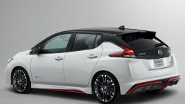 Lider segmentu aut elektrycznych z odrobiną sportowego charakteru