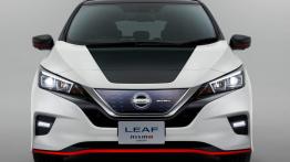 Lider segmentu aut elektrycznych z odrobiną sportowego charakteru