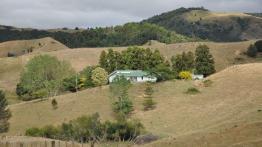 Audi Q5 -New Zealand Tour. Wioska Hobbitów (fotostory)