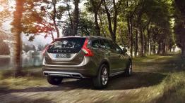 Volvo V60 Cross Country - widok z ty?u