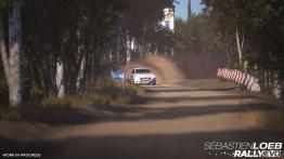 Sebastien Loeb Rally Evo - zapowiedź gry