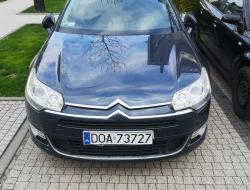 Wieloryb