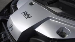 Mercedes F600 Hygenius - silnik