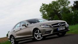 Limuzyna  czy coupe? - Mercedes CLS