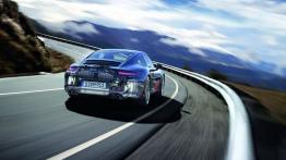 Porsche 911 (991) Carrera S - schemat konstrukcyjny auta