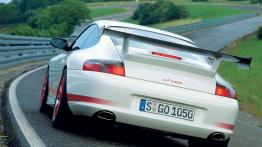 Porsche 911 996 GT3 RS - widok z tyłu