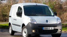 Renault Kangoo II Express