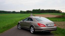 Limuzyna  czy coupe? - Mercedes CLS