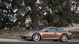 Porsche 911 (991) Carrera S - lewy bok