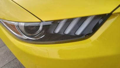 #zagadka #dzikus #gt